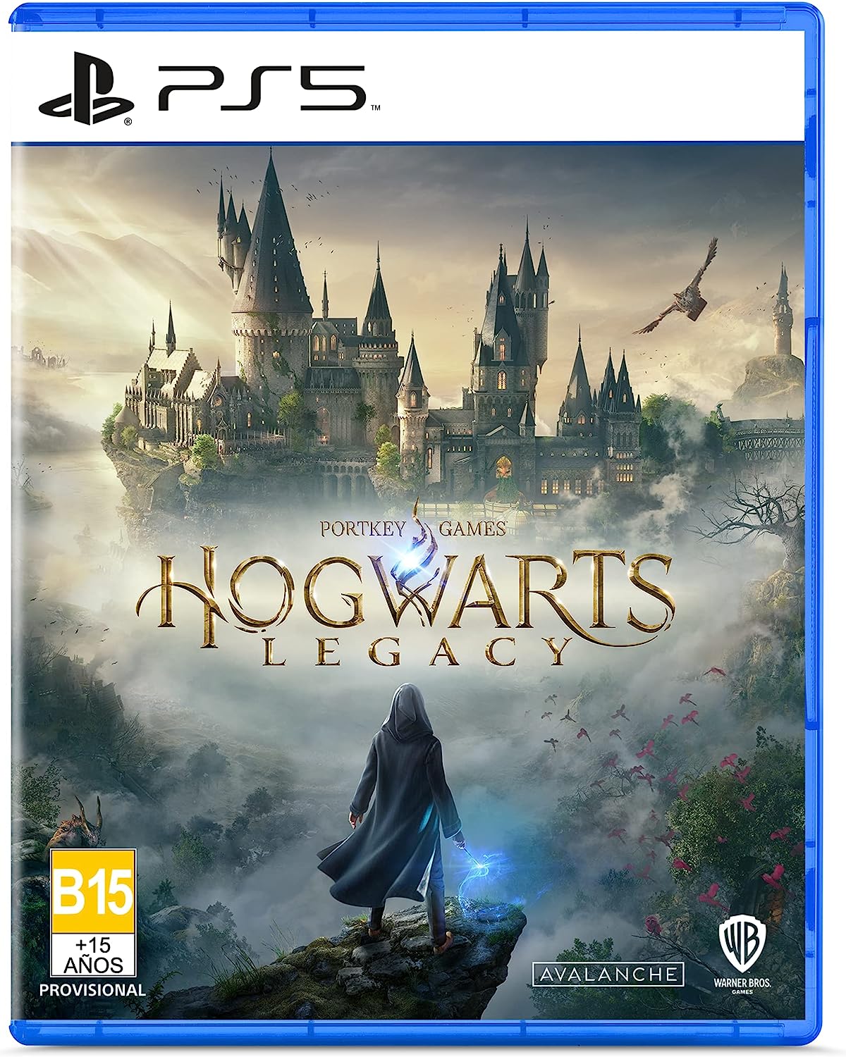 Hogwarts Legacy Ps5 usado