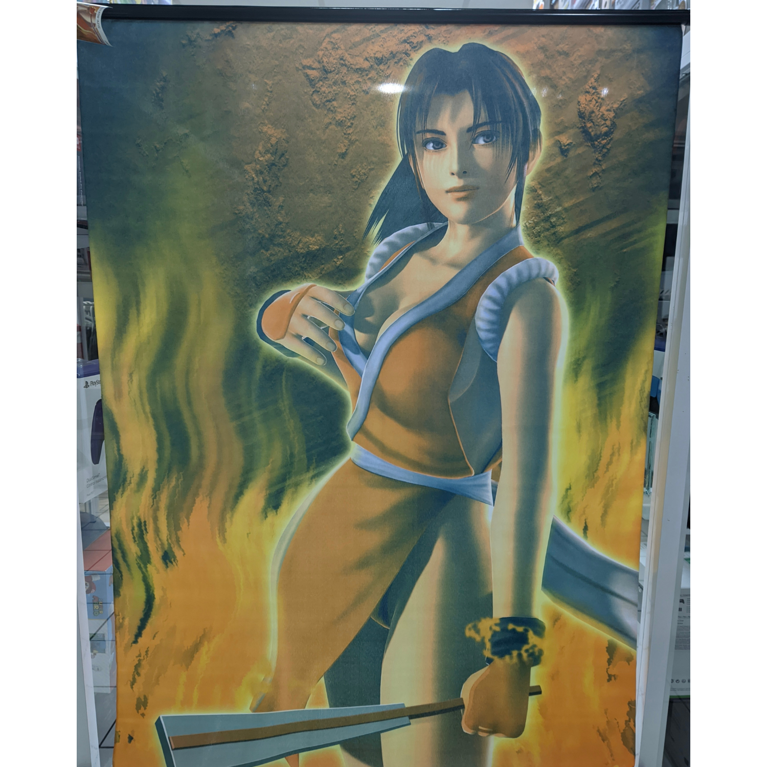 Posters De Tela Varios