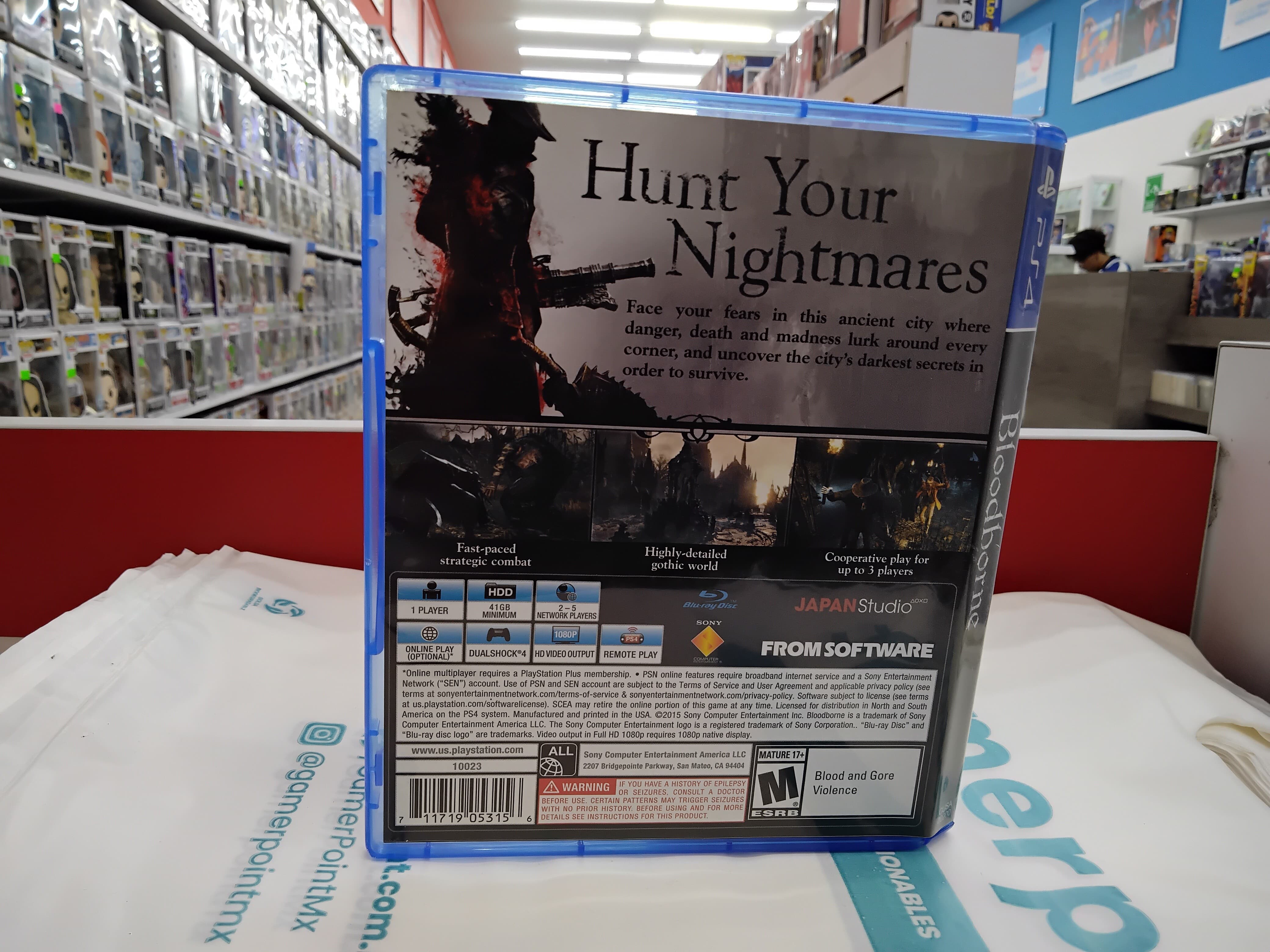 Bloodborne Ps4 Usado