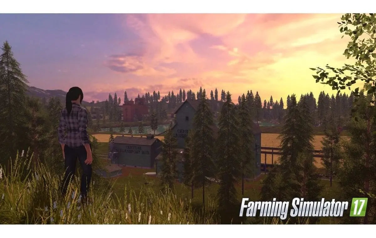 Farming Simulator 17 - PS4 Usado