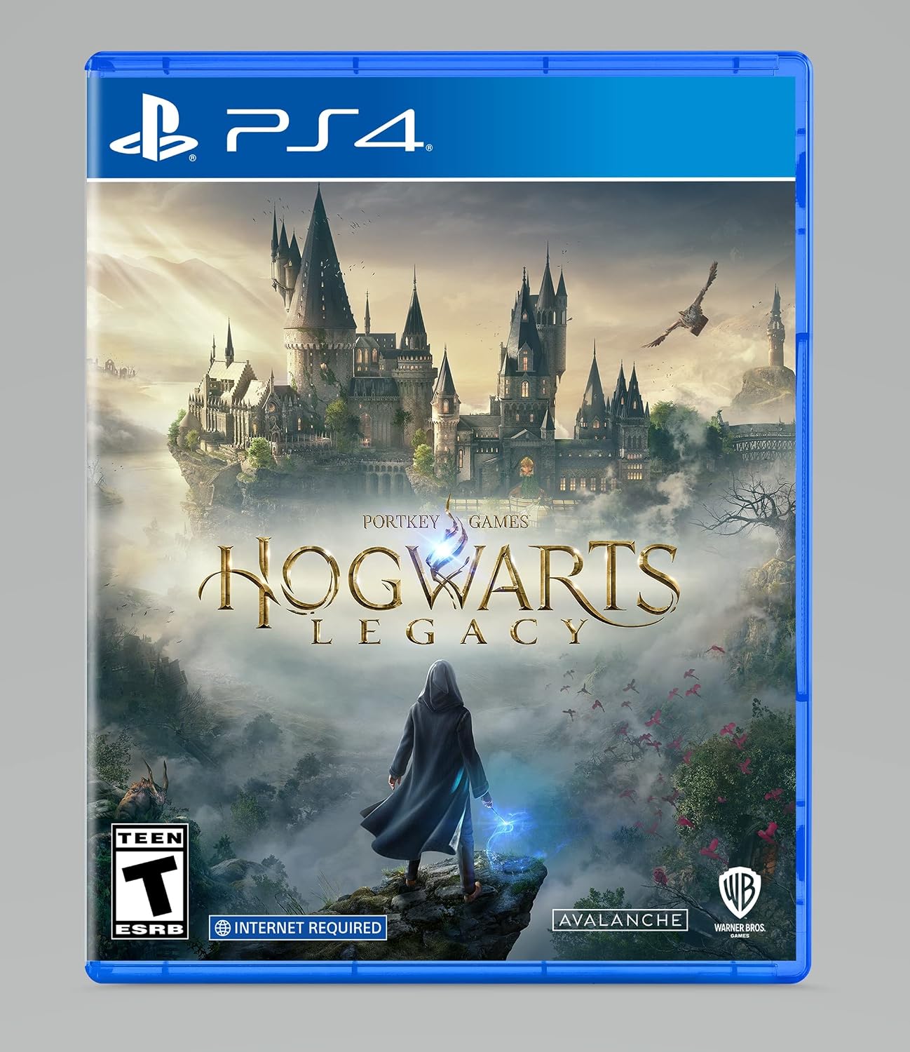 Hogwarts Legacy PS4 Usado