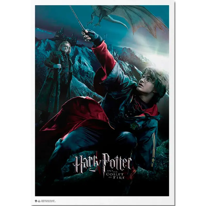 Poster Exclusivo (Piezas Limitadas) Harry Potter - Harry Potter Y El Cáliz De Fuego
