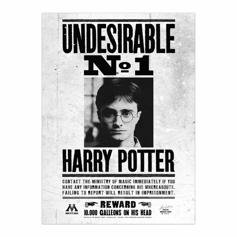Poster Exclusivo (Piezas Limitadas) Harry Potter - Undeseable Nº1